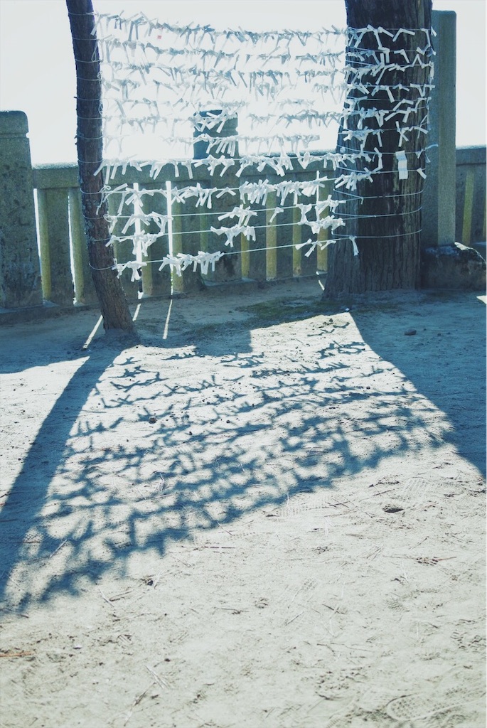 f:id:naturalbossa:20190103223723j:image f:id:naturalbossa:20190103223723j:image