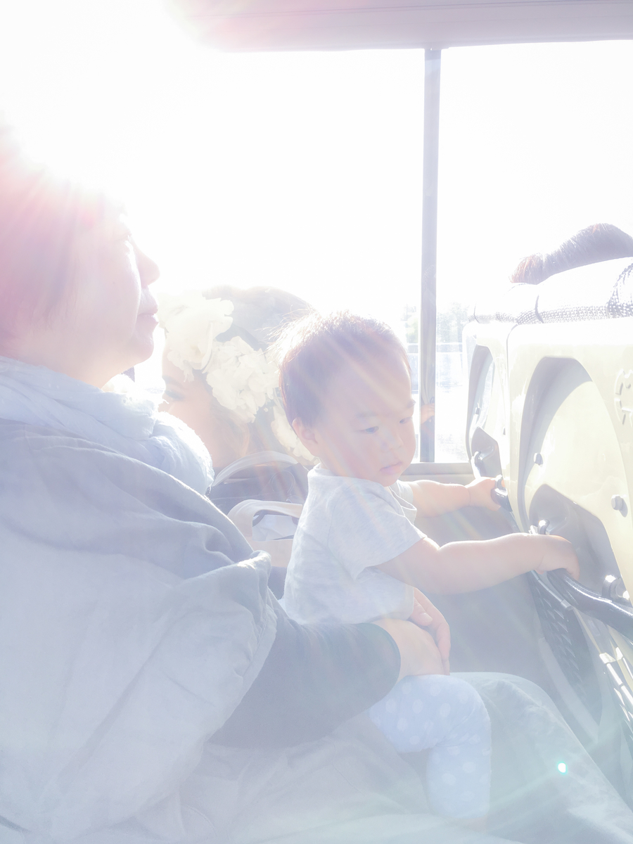 f:id:naturalbossa:20190414073902j:plain f:id:naturalbossa:20190414073902j:plain