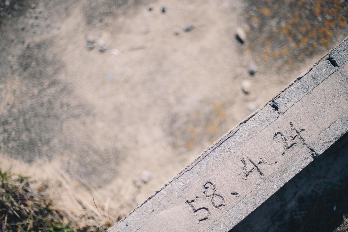 f:id:naturalbossa:20200724192149j:plain