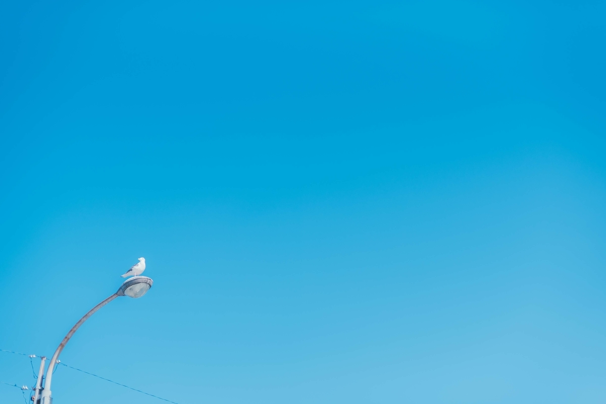 f:id:naturalbossa:20200724192224j:plain