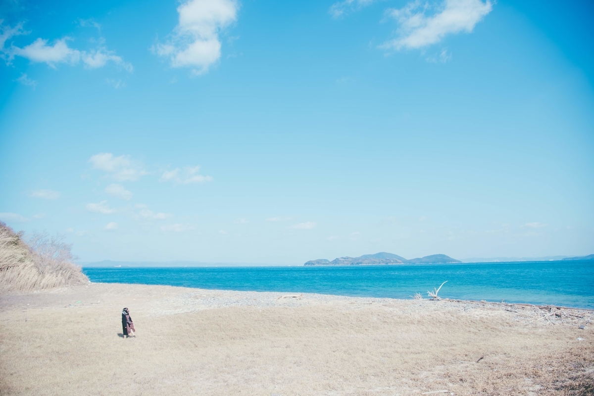 f:id:naturalbossa:20200724192230j:plain