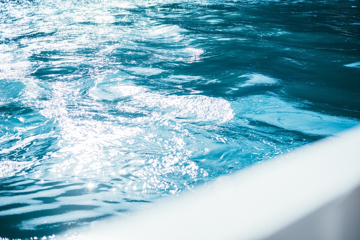 f:id:naturalbossa:20200724192300j:plain