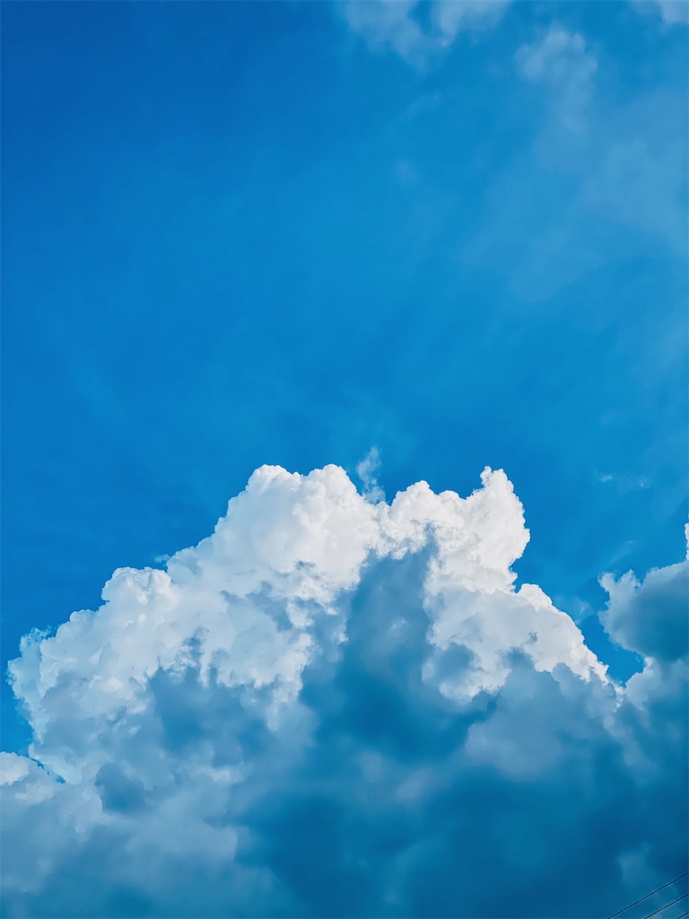f:id:naturalbossa:20200830211101j:image