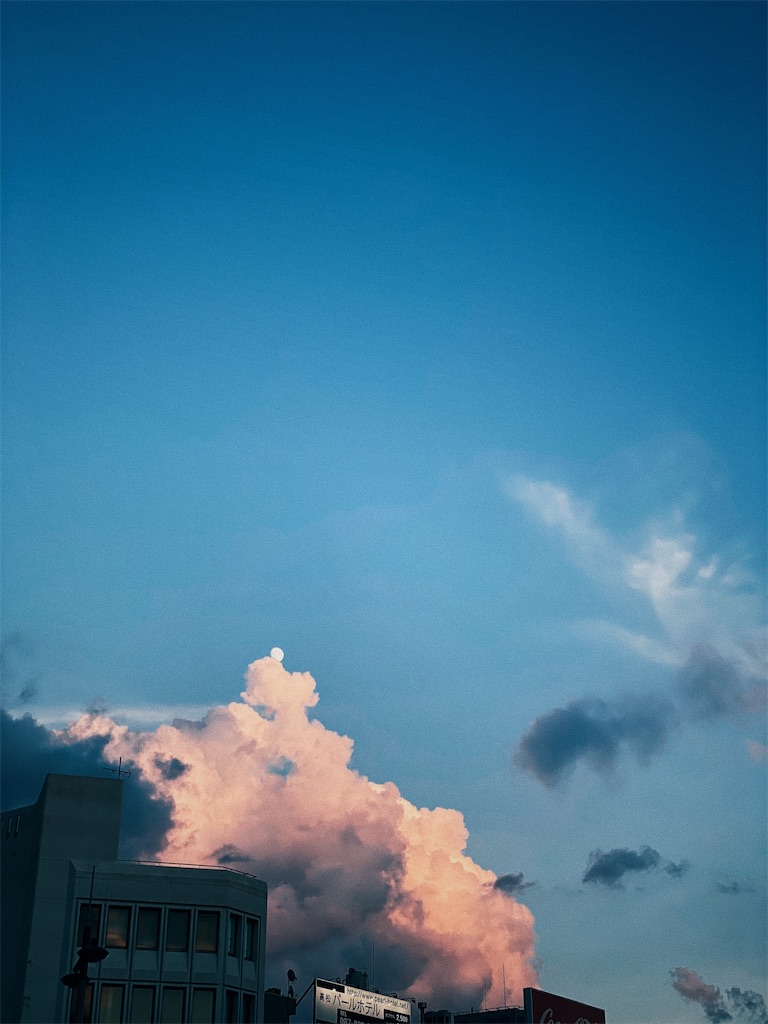 f:id:naturalbossa:20200830211105j:image