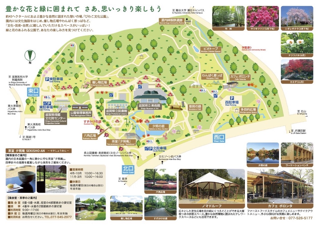 f:id:naturalfloret:20240722123023j:image