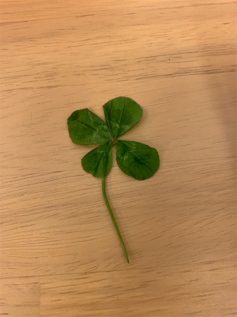 f:id:naturalflower:20260714123440j:image f:id:naturalflower:20260714123440j:image