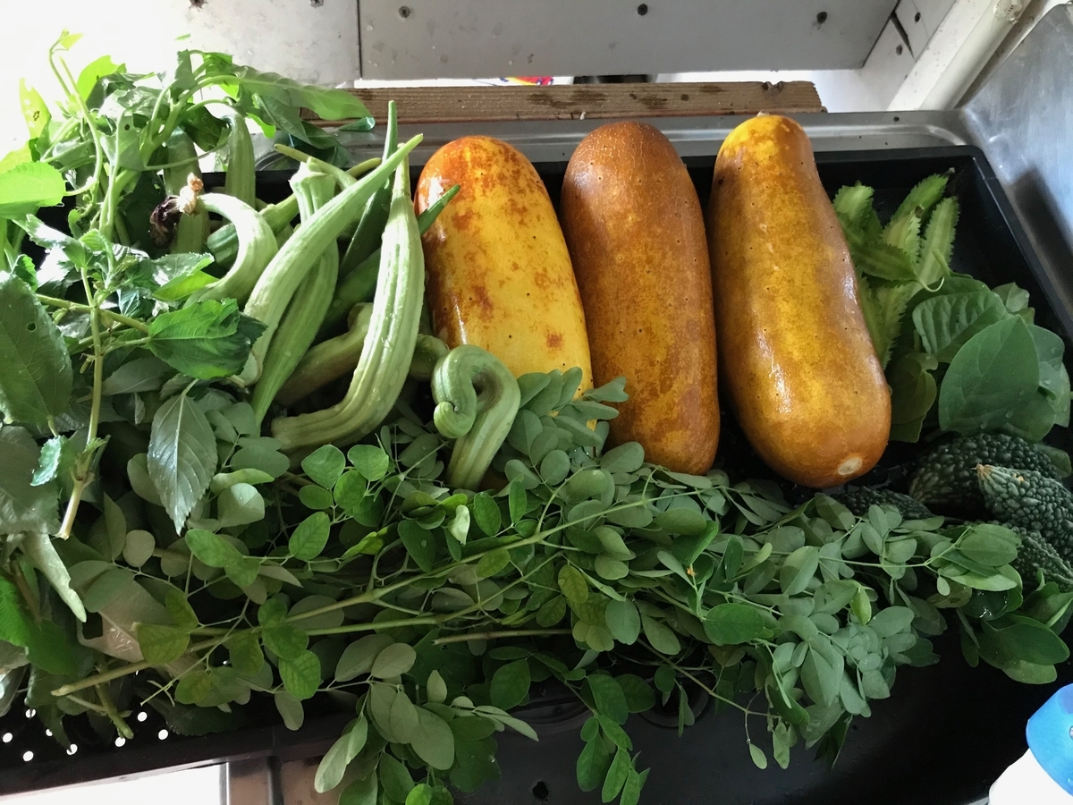 f:id:naturalhspman:20201117215806j:plain