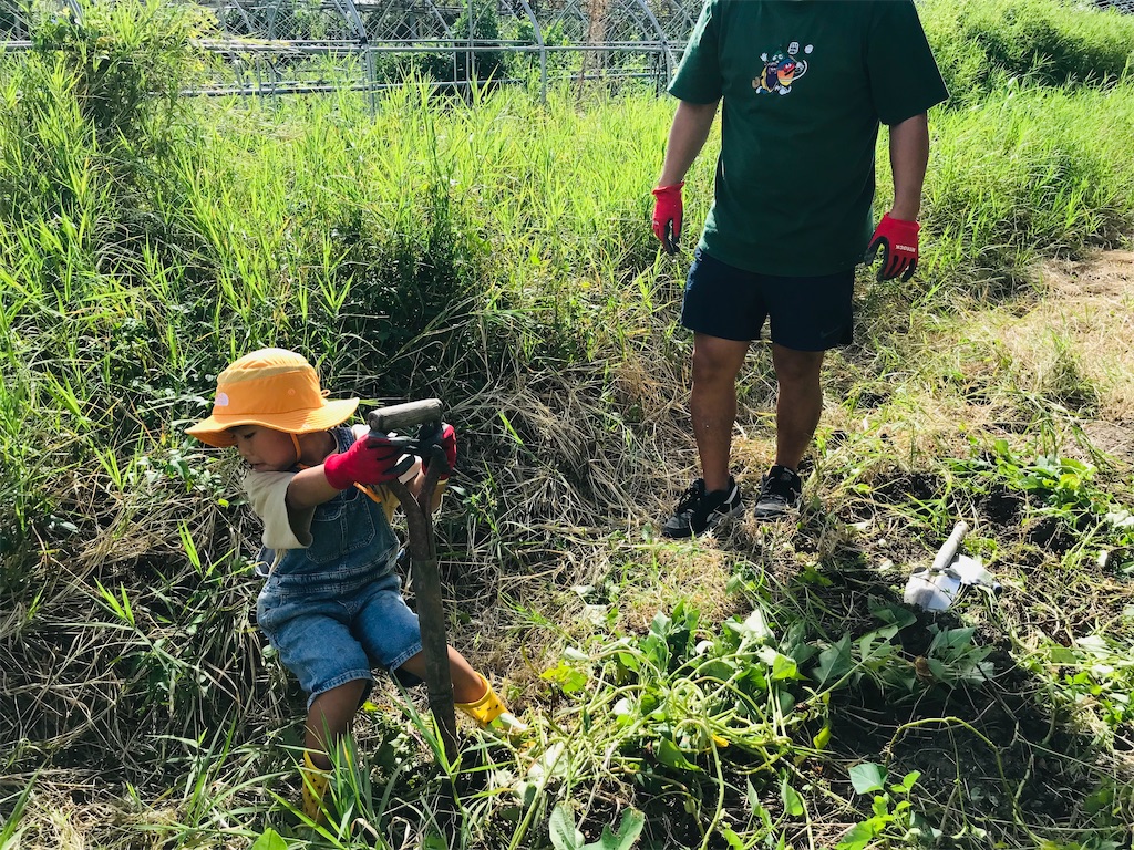 f:id:naturalhspman:20211121204314j:image f:id:naturalhspman:20211121204314j:image