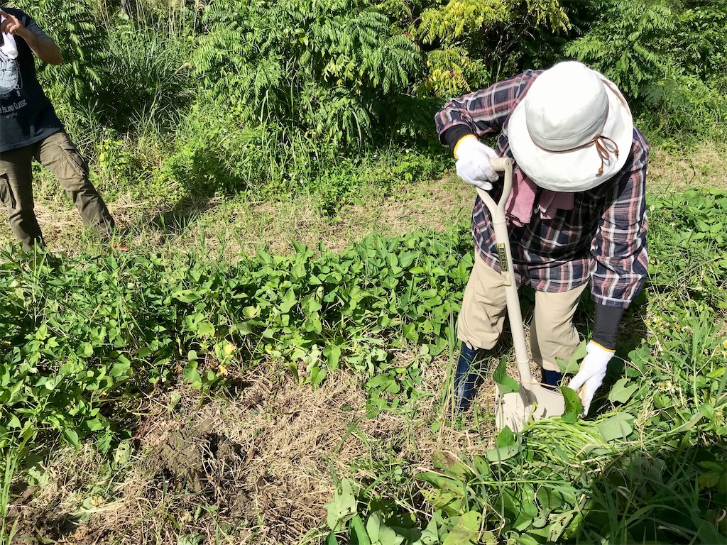 f:id:naturalhspman:20211121204321j:image f:id:naturalhspman:20211121204321j:image