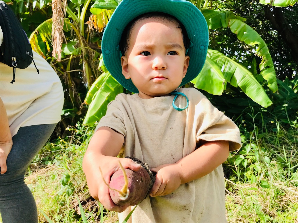 f:id:naturalhspman:20211121204328j:plain