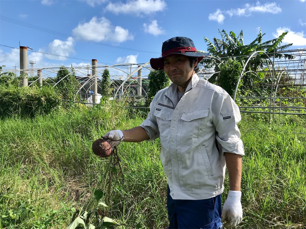 f:id:naturalhspman:20211121204337j:plain