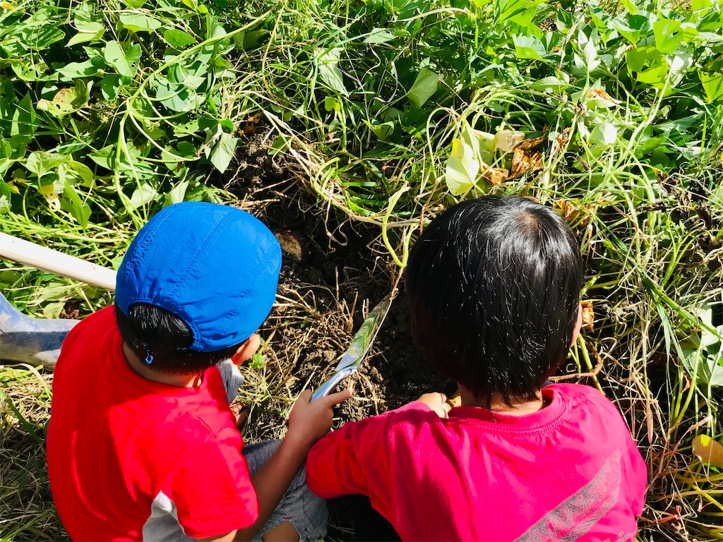 f:id:naturalhspman:20211121204343j:image f:id:naturalhspman:20211121204343j:image