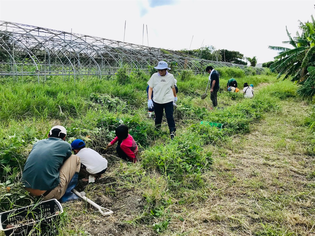 f:id:naturalhspman:20211121204346j:image f:id:naturalhspman:20211121204346j:image