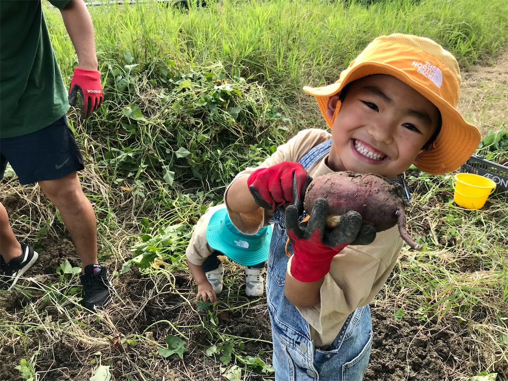 f:id:naturalhspman:20211121204402j:image f:id:naturalhspman:20211121204402j:image