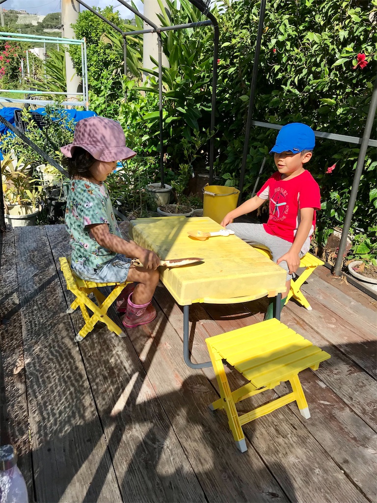 f:id:naturalhspman:20211121213603j:image f:id:naturalhspman:20211121213603j:image