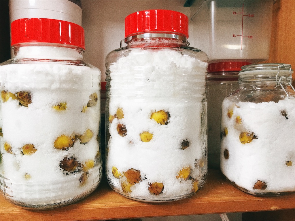 f:id:naturalhspman:20220611234023j:image f:id:naturalhspman:20220611234023j:image