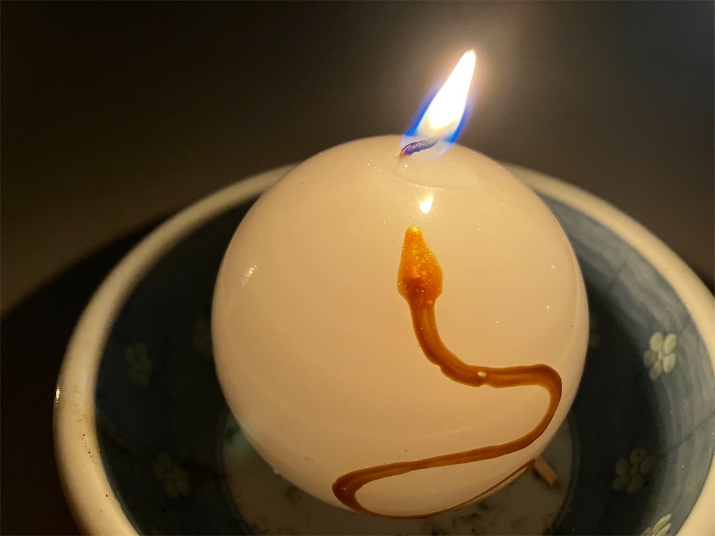 f:id:naturalhspman:20250101194559j:image