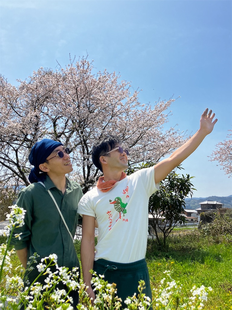 f:id:naturalhspman:20250414205452j:image