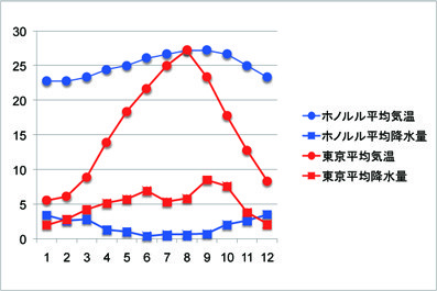 f:id:naturalist2008:20100120193351j:image