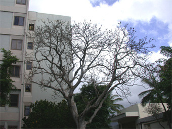 f:id:naturalist2008:20100125131241j:image f:id:naturalist2008:20100125131241j:image