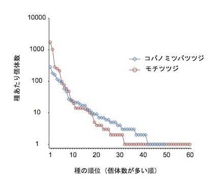数種