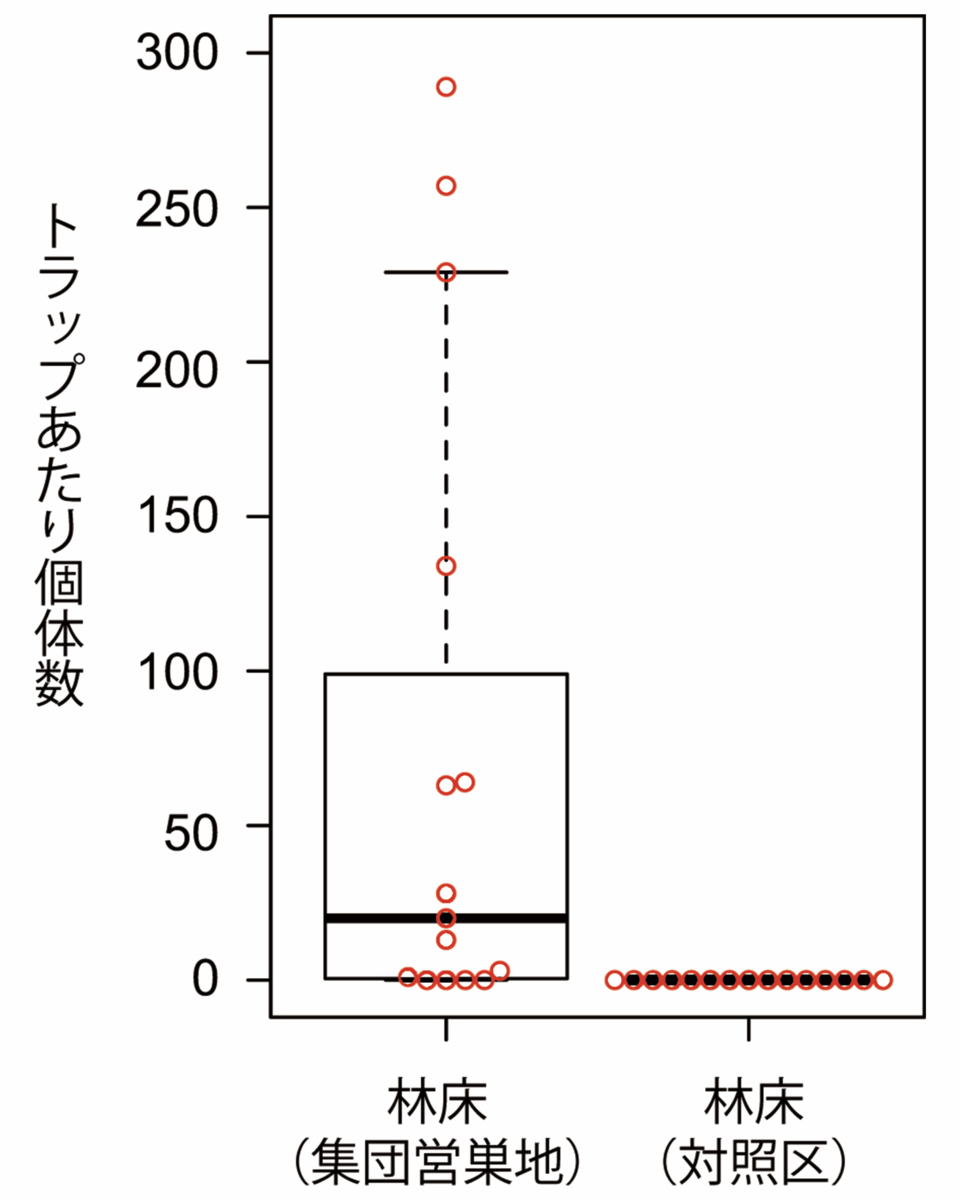 むしのみち