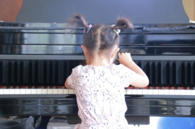 f:id:naturalleaf:20200417182211j:image