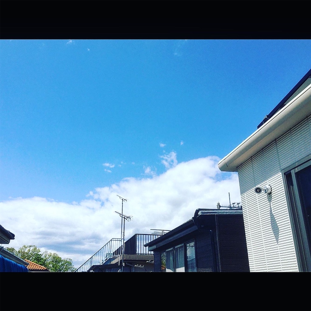 f:id:naturallyfamily:20200423163315j:image