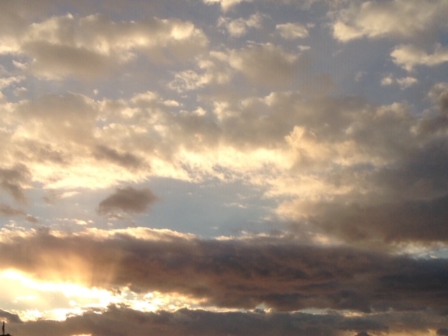 f:id:naturalmammy00:20190604194232j:plain f:id:naturalmammy00:20190604194232j:plain