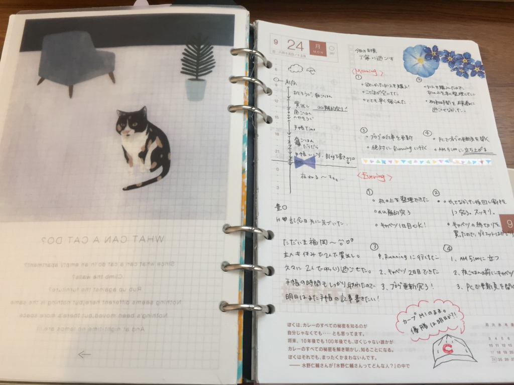 f:id:naturalopt:20180925115039p:plain f:id:naturalopt:20180925115039p:plain