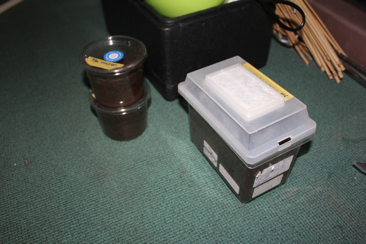 f:id:nature-hobby:20191002201545j:plain f:id:nature-hobby:20191002201545j:plain