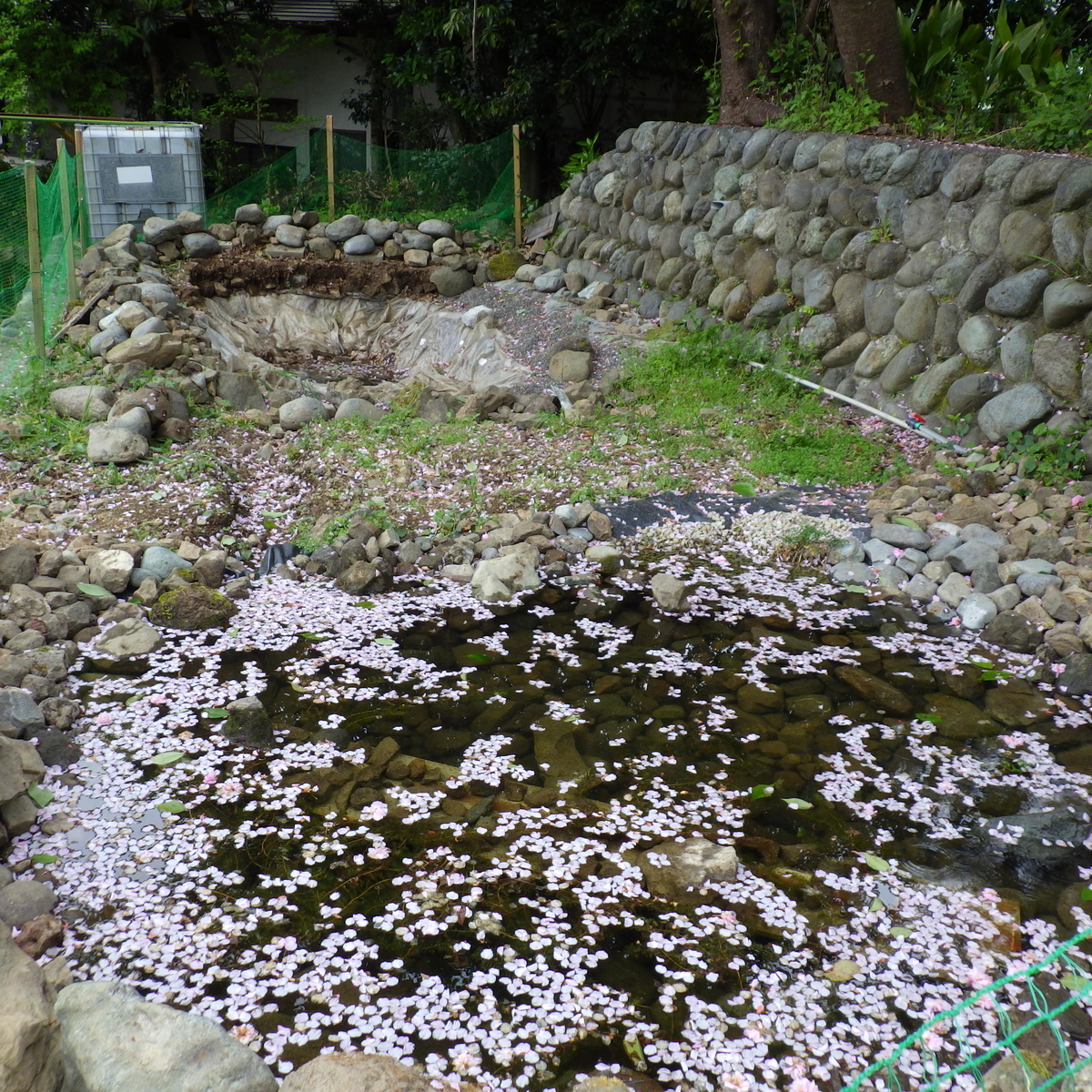 f:id:nature-n:20200430112210j:plain f:id:nature-n:20200430112210j:plain
