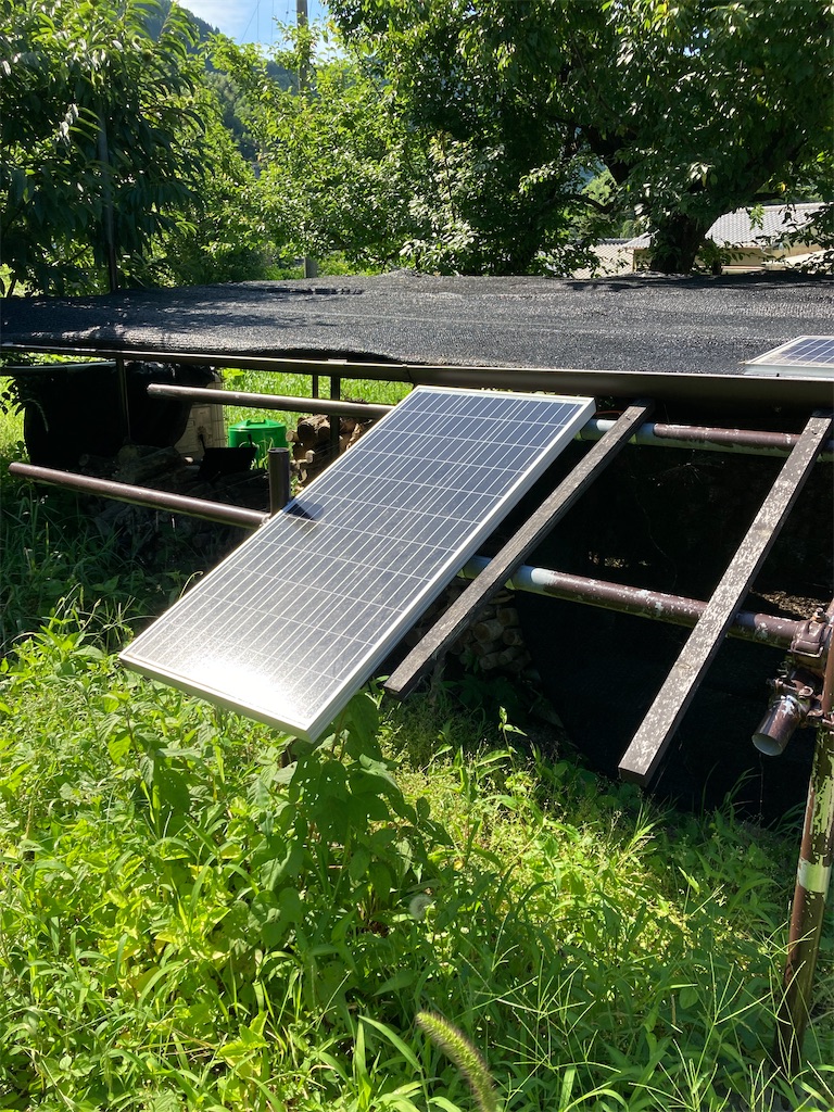 f:id:nature-n:20230702171751j:image f:id:nature-n:20230702171751j:image