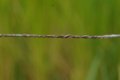 20170904065636