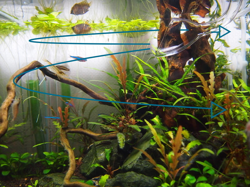f:id:nature_1129:20200419000256j:plain f:id:nature_1129:20200419000256j:plain