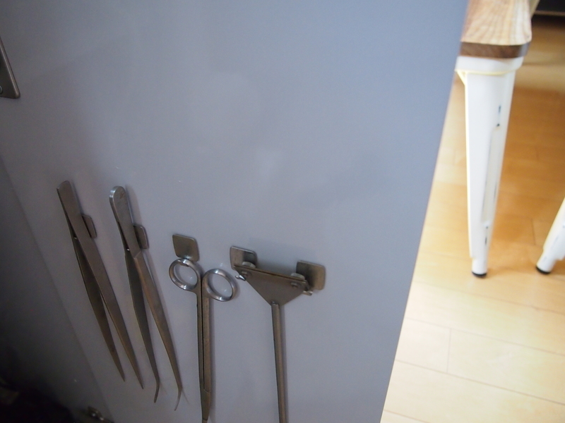 f:id:nature_1129:20200429161904j:plain f:id:nature_1129:20200429161904j:plain