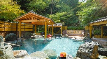 f:id:nature_koikoi:20211109123816j:image f:id:nature_koikoi:20211109123816j:image