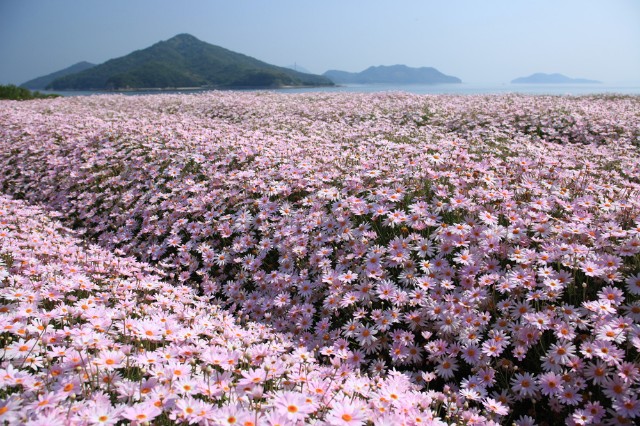 f:id:nature_koikoi:20211121225929j:image f:id:nature_koikoi:20211121225929j:image