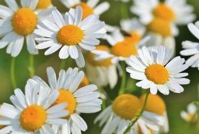 f:id:nature_koikoi:20211121230355j:image f:id:nature_koikoi:20211121230355j:image