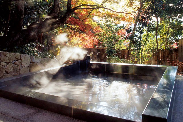 f:id:nature_koikoi:20220105125328j:image f:id:nature_koikoi:20220105125328j:image