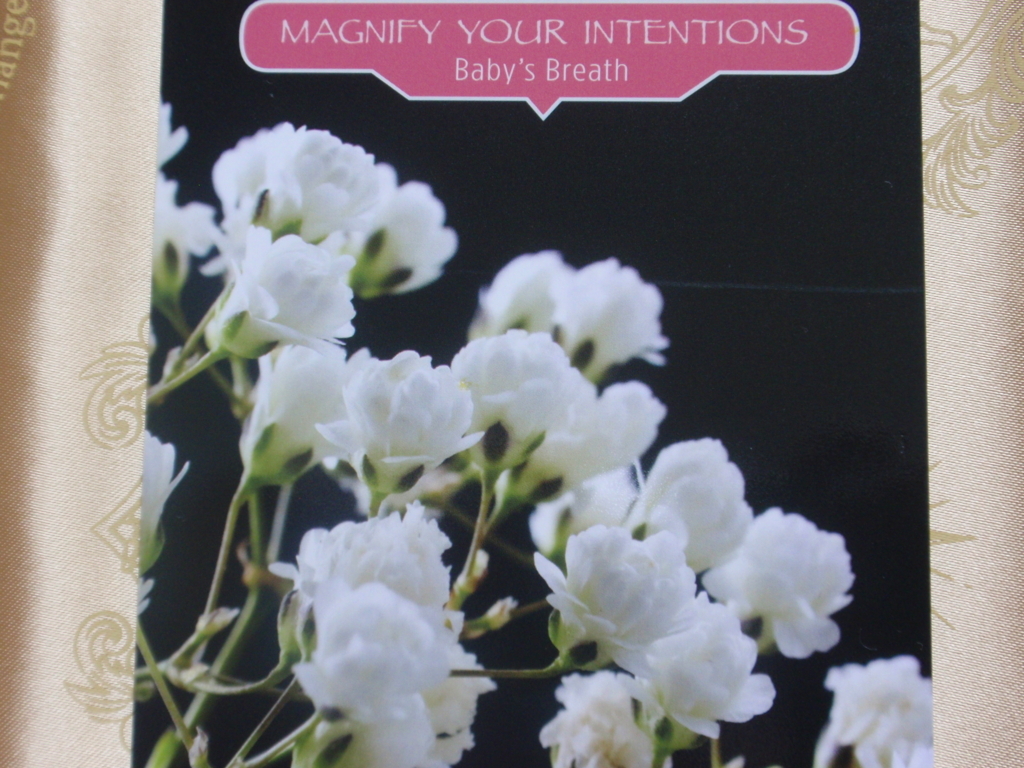 フラワーセラピーオラクルカード MAGNIFY YOUR INTENTIONS