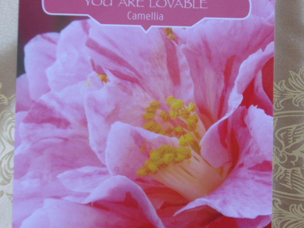 フラワーセラピーオラクルカード Camellia