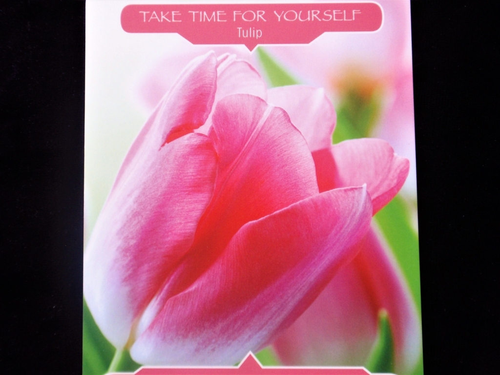 f:id:natureangel:20180525083647j:plain f:id:natureangel:20180525083647j:plain