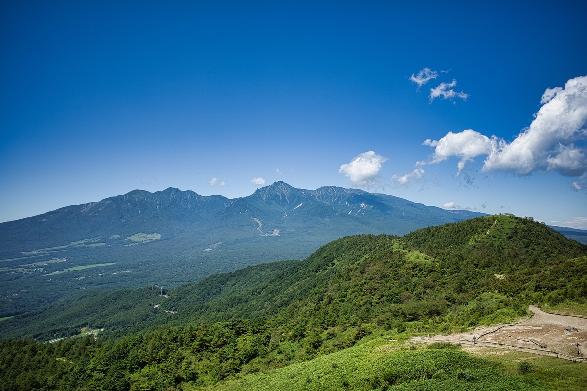 f:id:naturedrop2021:20210901185936j:plain