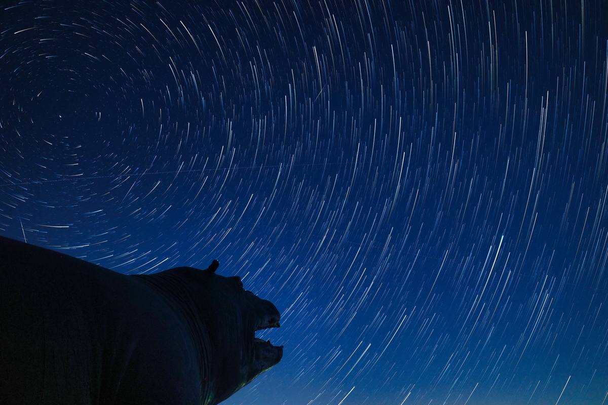 f:id:naturedrop2021:20220110163555j:plain