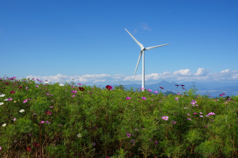 f:id:natureflower:20140923142801j:plain f:id:natureflower:20140923142801j:plain