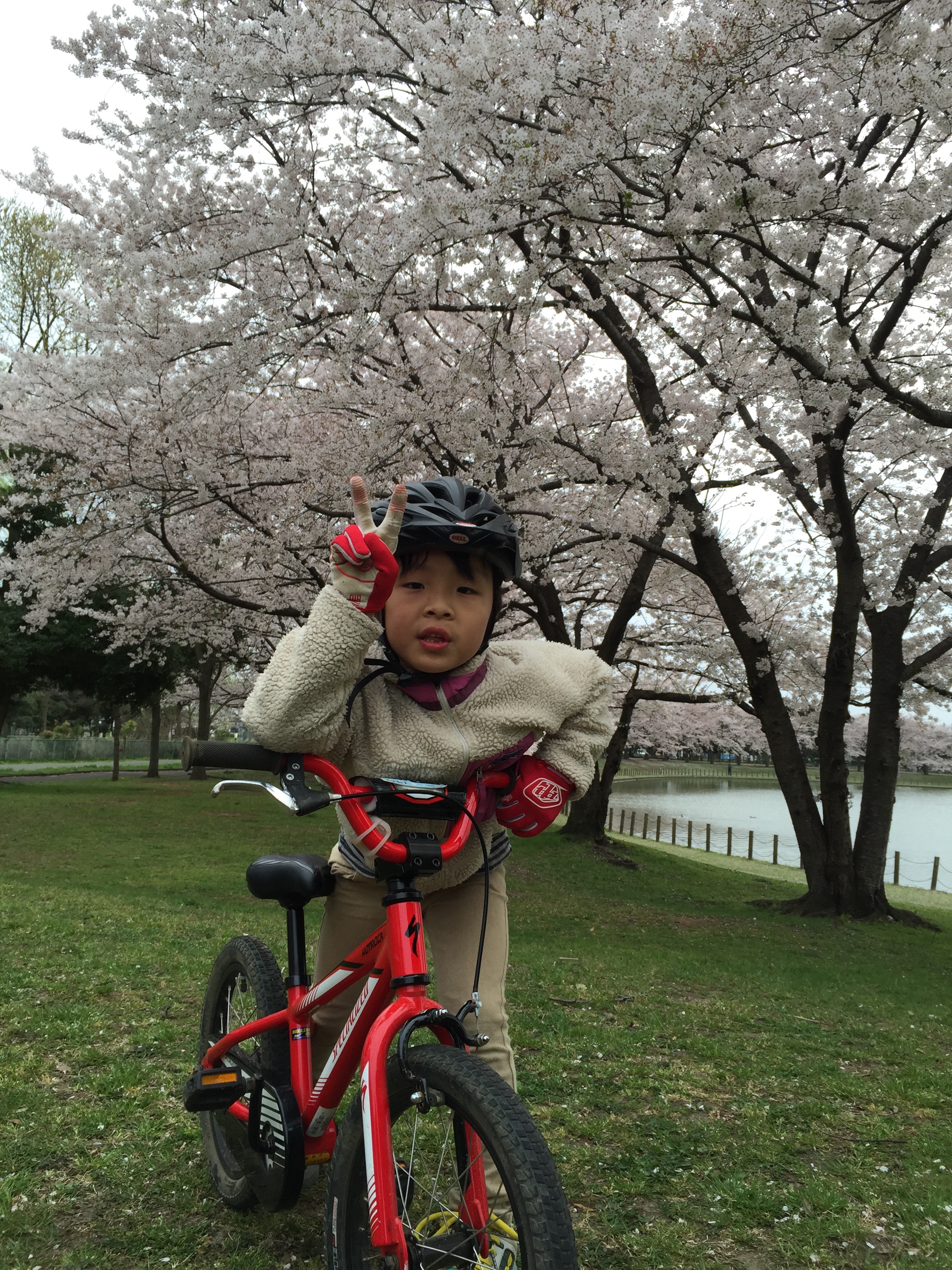 f:id:naturekoshigaya:20180314110157j:image f:id:naturekoshigaya:20180314110157j:image
