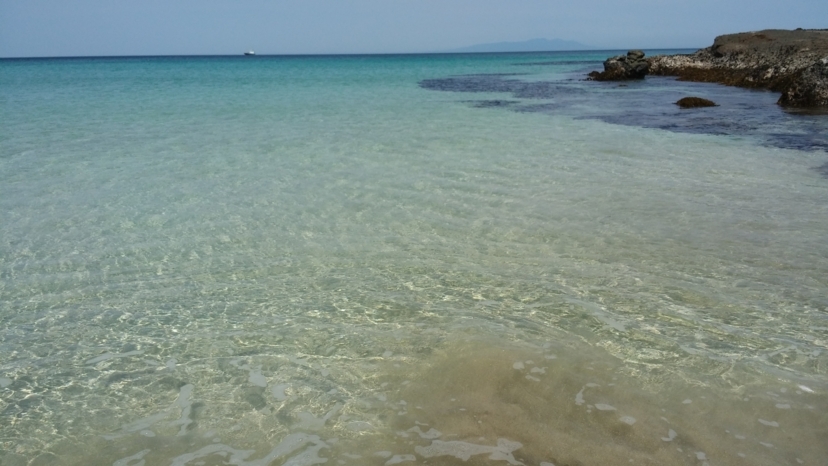 f:id:naturethinking:20180517012437j:plain