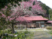 f:id:natureworship:20170806171138j:plain f:id:natureworship:20170806171138j:plain