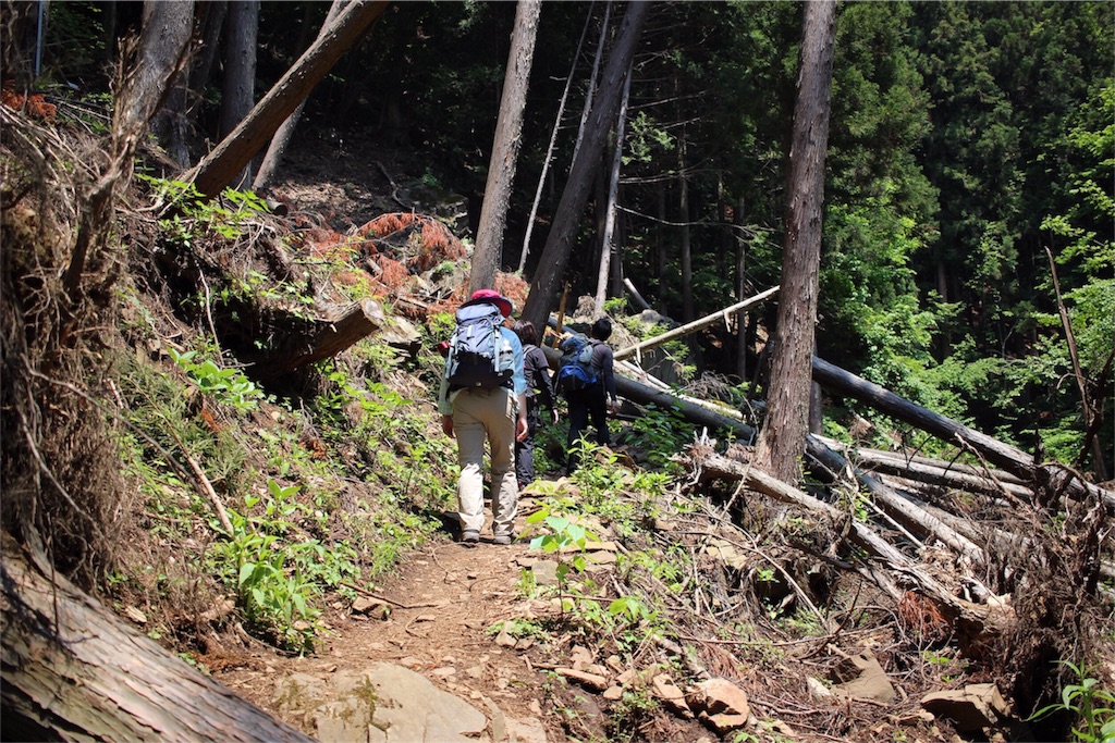 f:id:naturez:20160522140434j:image f:id:naturez:20160522140434j:image